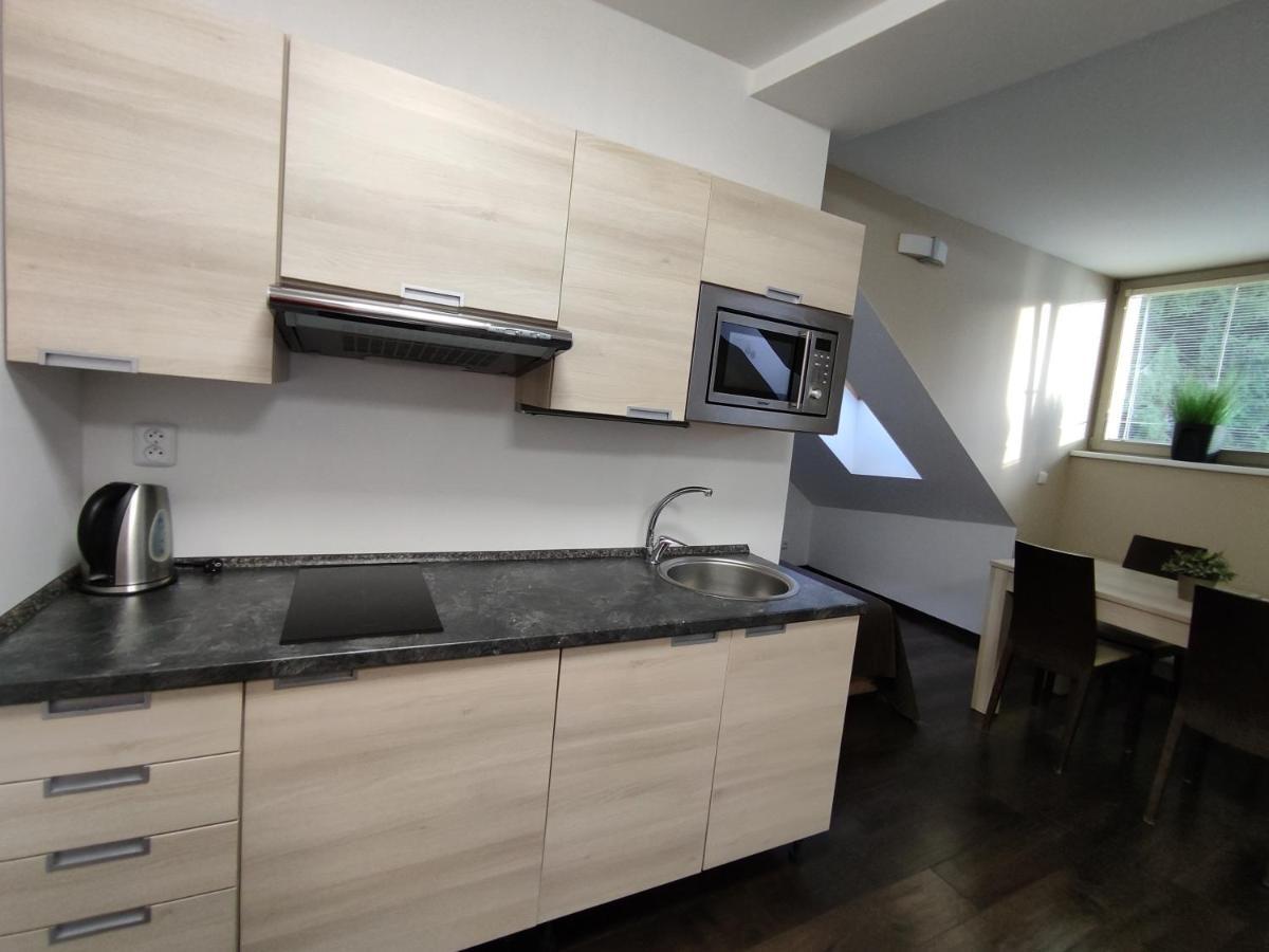 Anensky Apartman C303 - S O2 Tv A Stabilni Rychlou Wifi, S Moznosti Dokoupeni Bufetovych Snidani - By Relax هاراشوف المظهر الخارجي الصورة